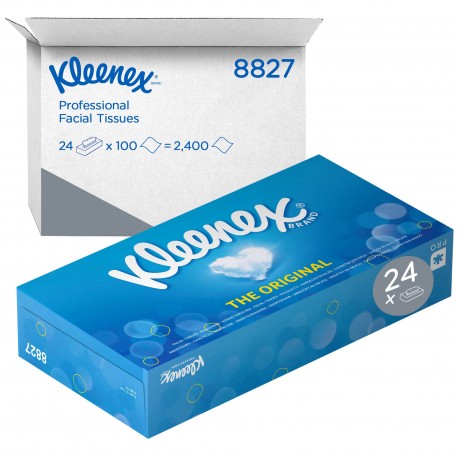 Mouchoirs blancs 2 plis boite 100F KLEENEX-Ct 24 boites